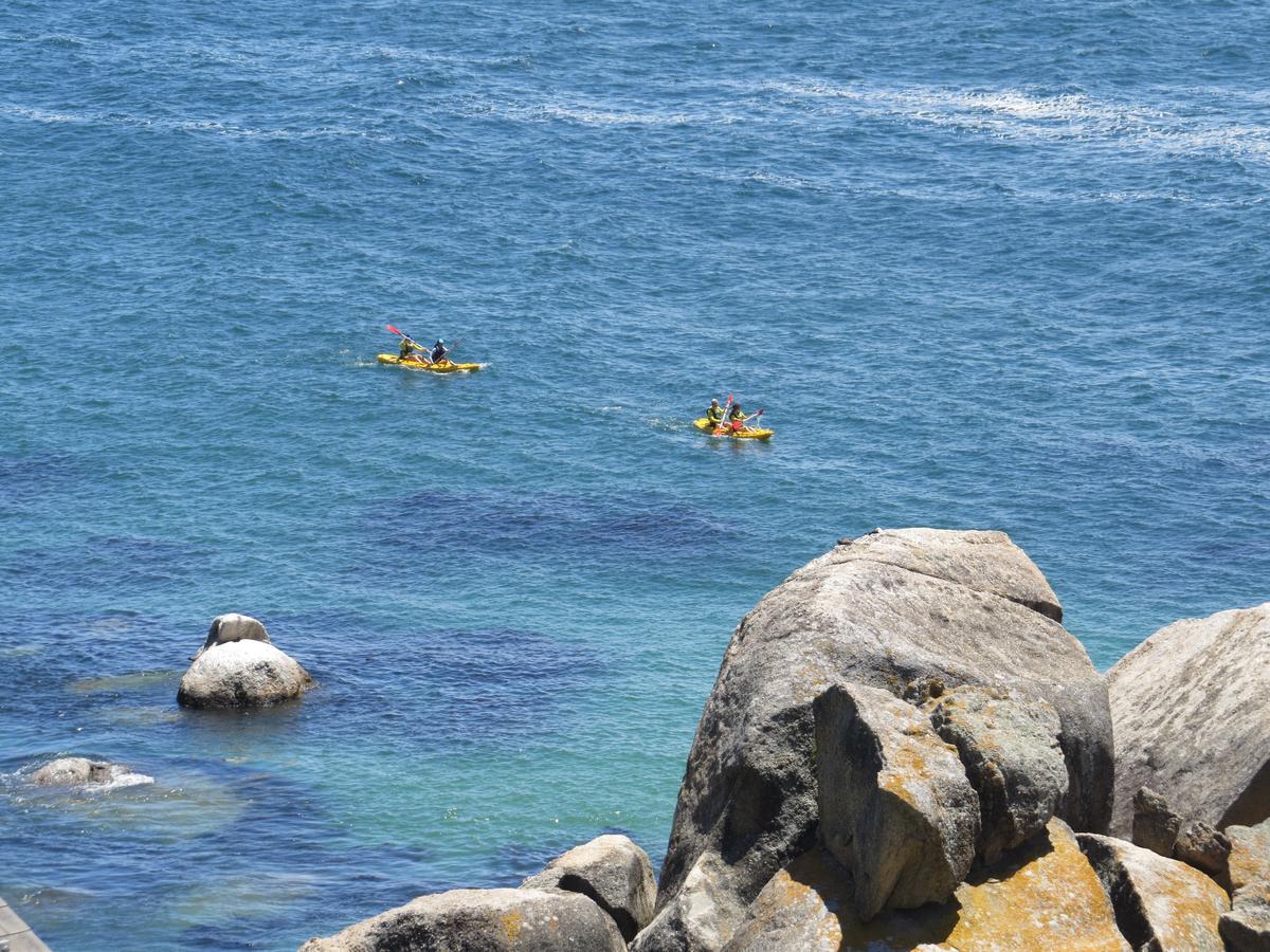 Penguins View Guesthouse Simon's Town Luaran gambar